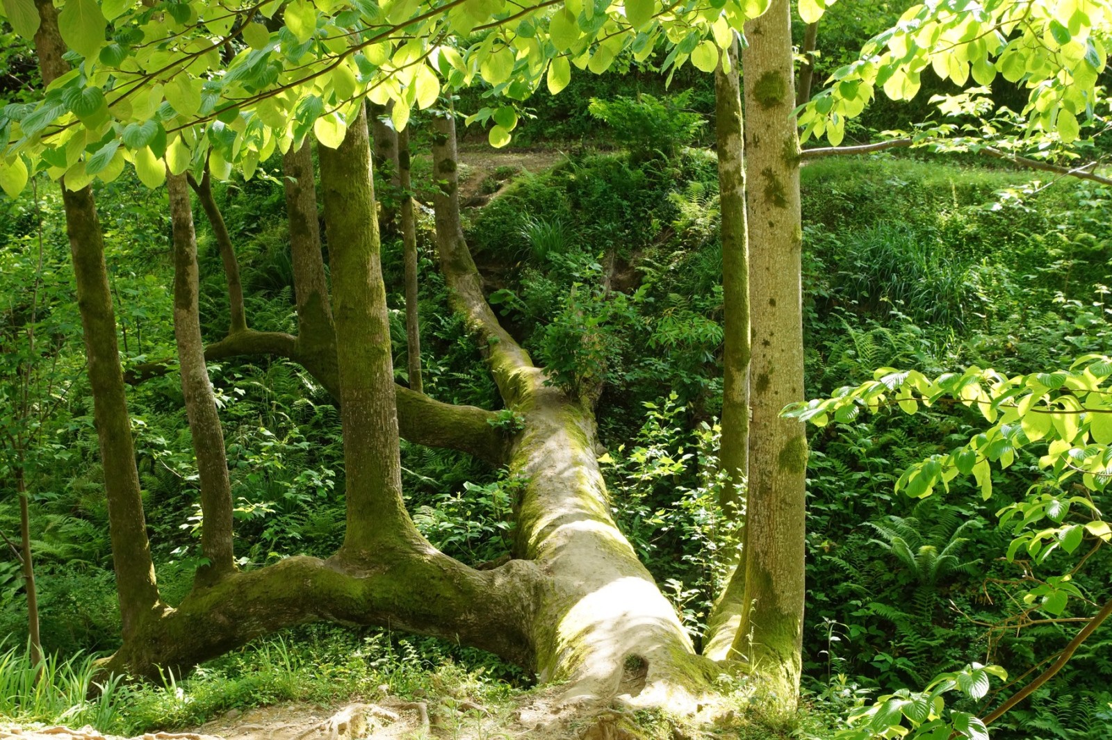 Фото экскурсии