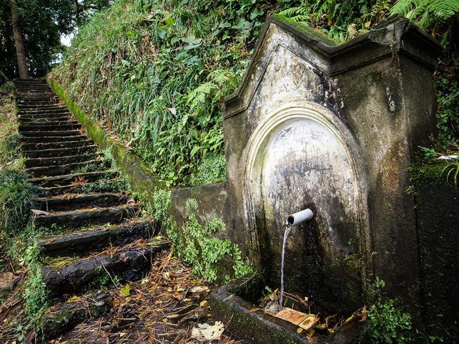 Фото экскурсии