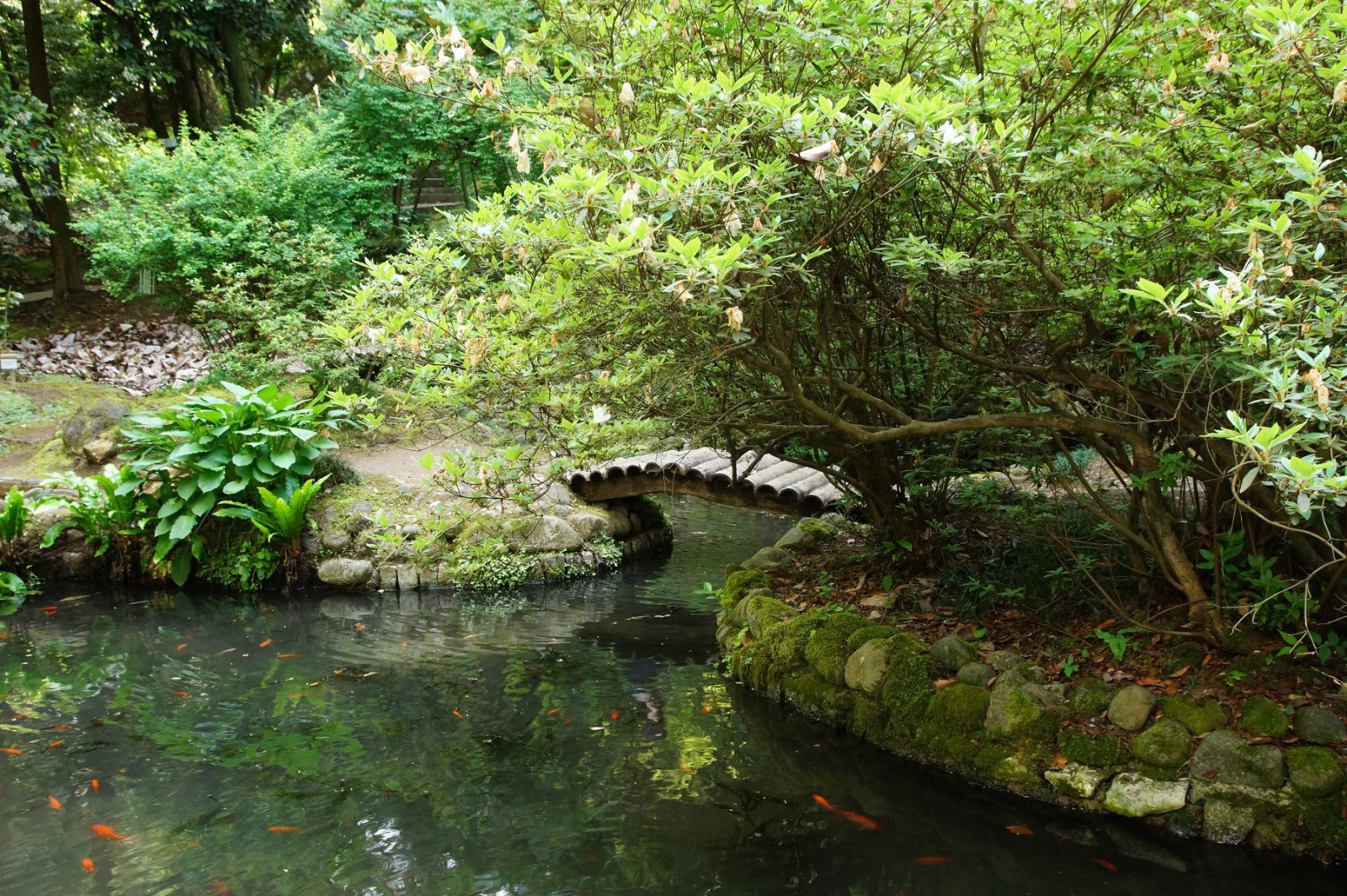 Фото экскурсии