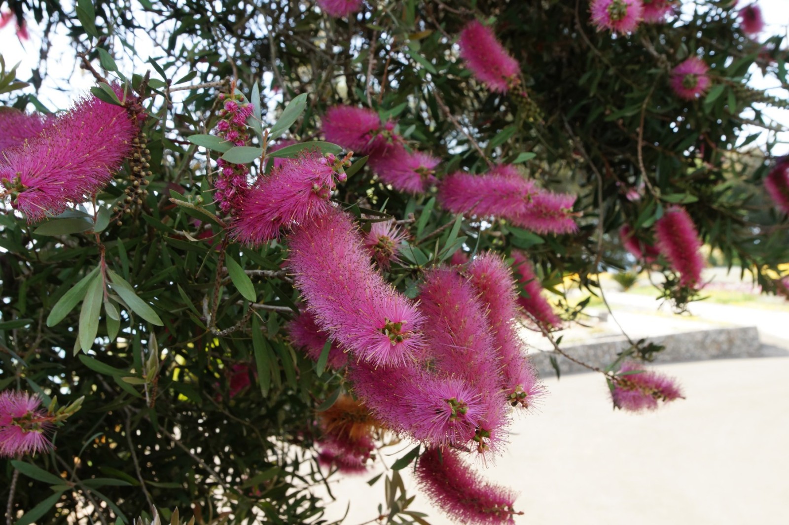 Фото экскурсии