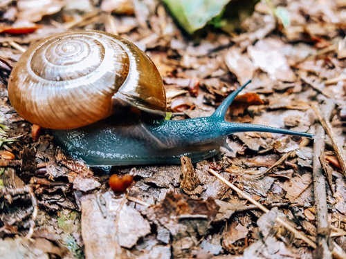 Фото экскурсии