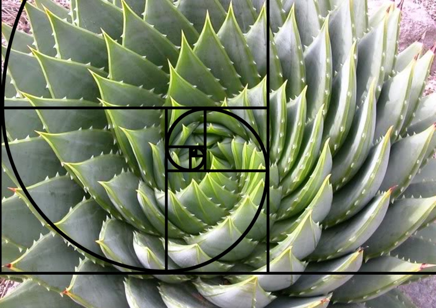 Фото экскурсии