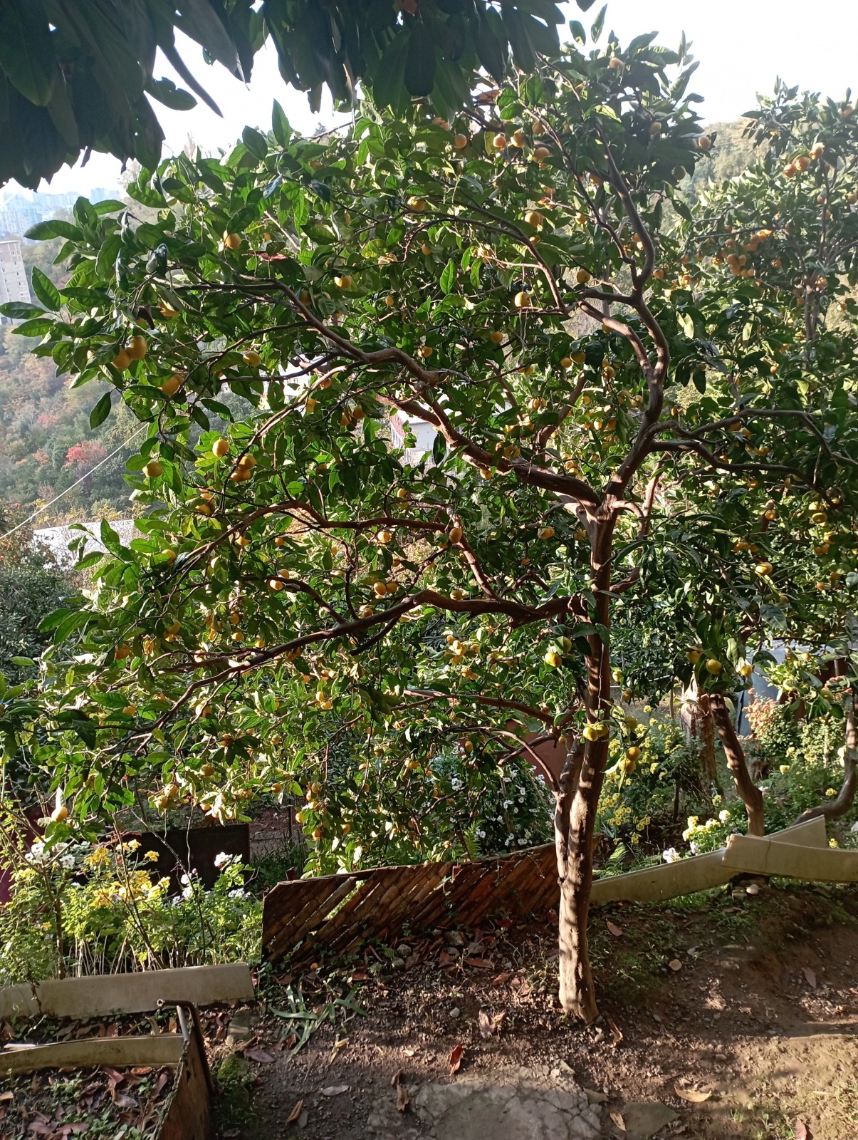 Фото экскурсии