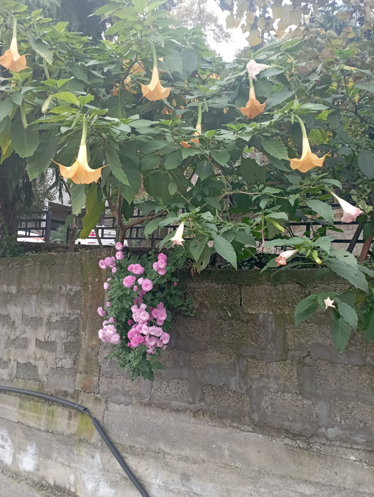 Фото экскурсии