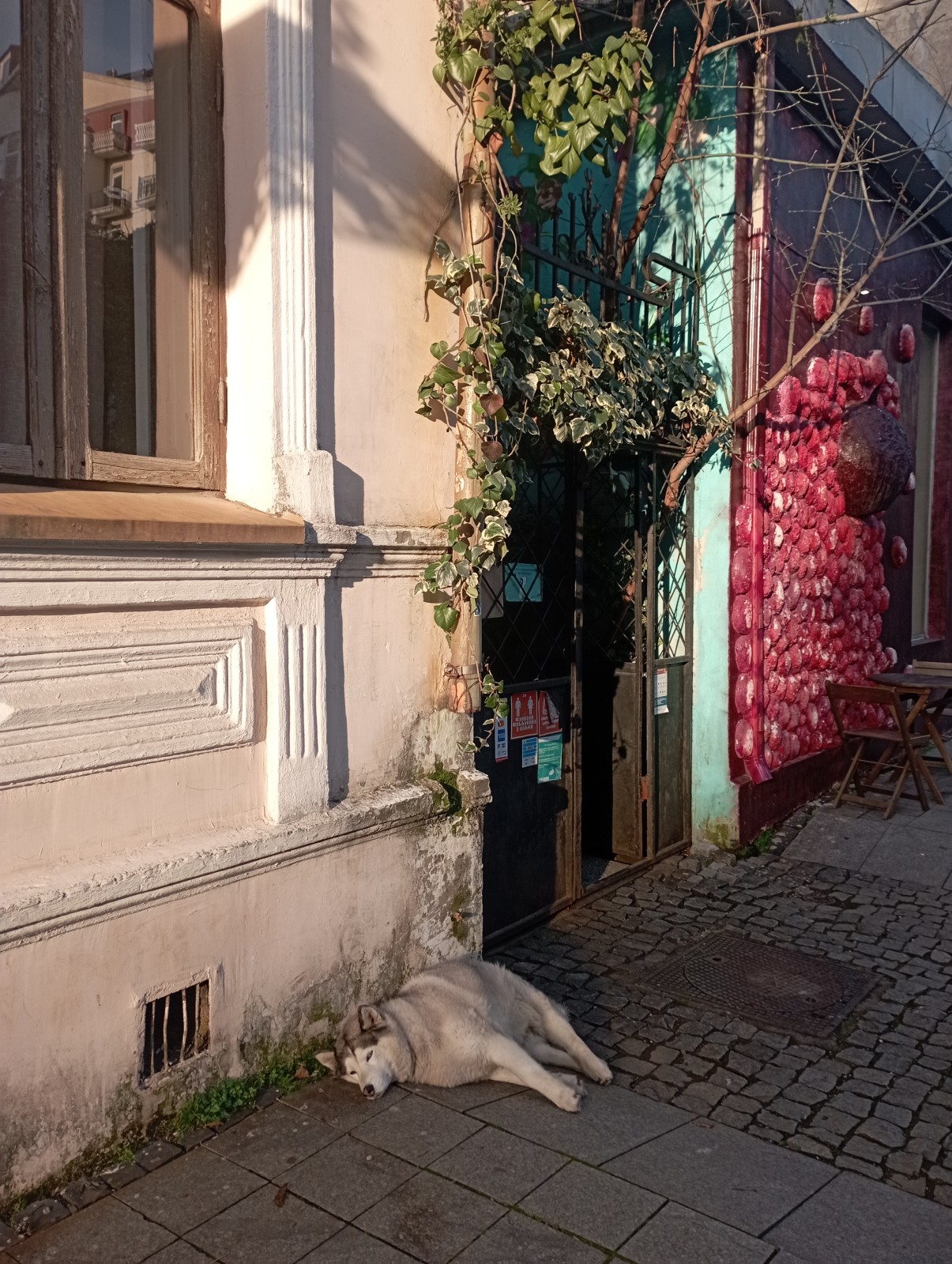 Фото экскурсии