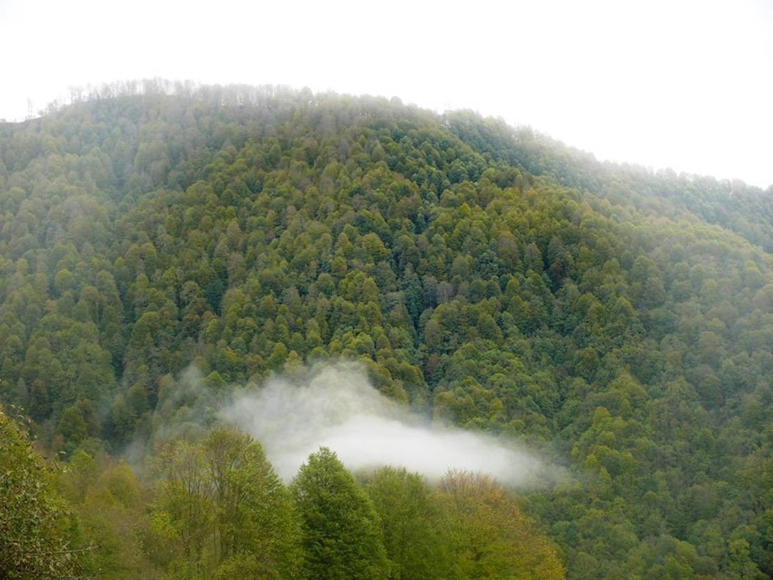 Фото экскурсии