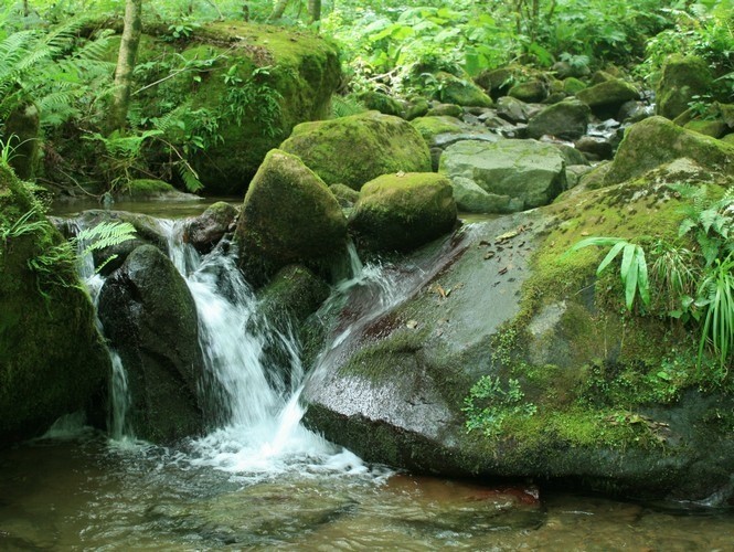 Фото экскурсии