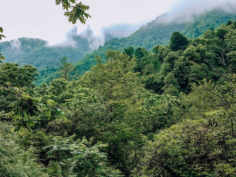 Фото экскурсии