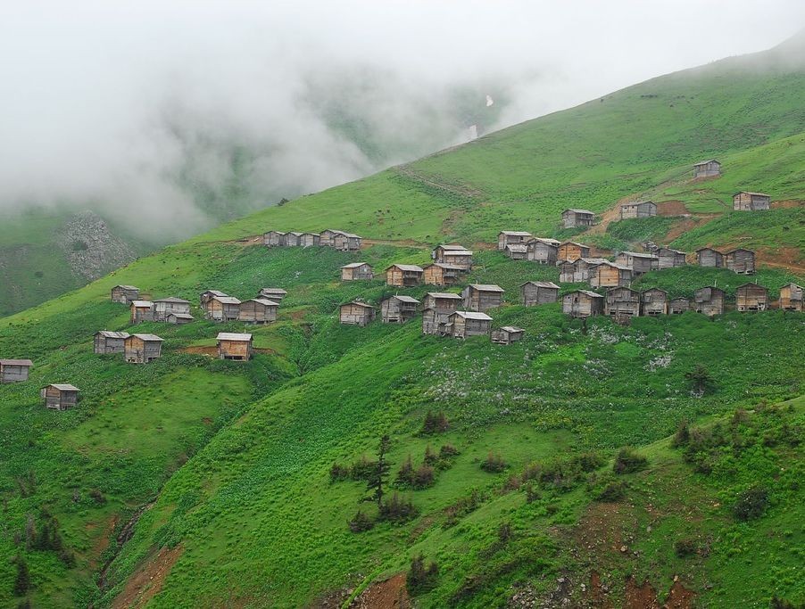 Фото экскурсии