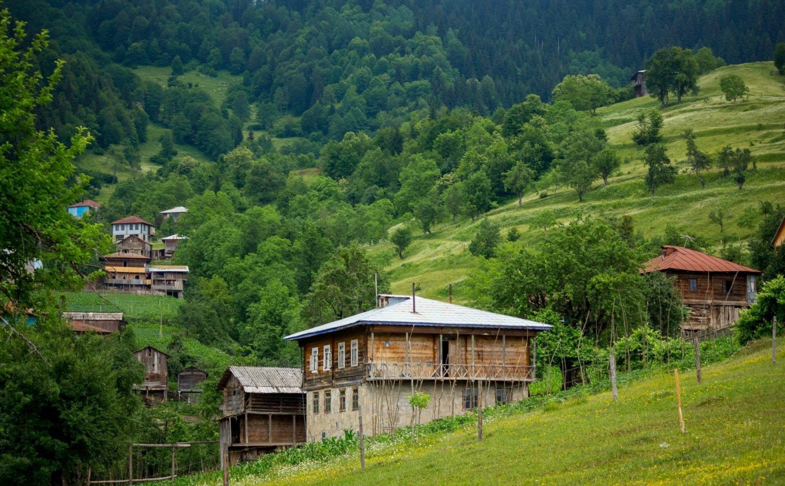 Фото экскурсии