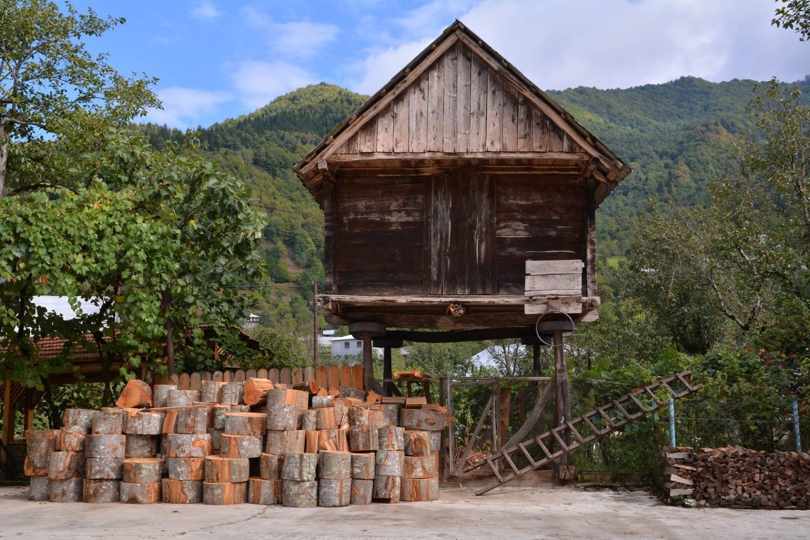 Фото экскурсии