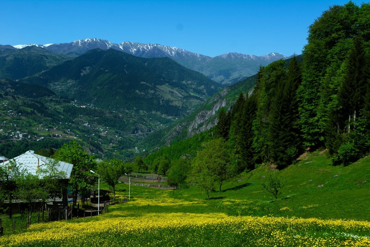 Фото экскурсии