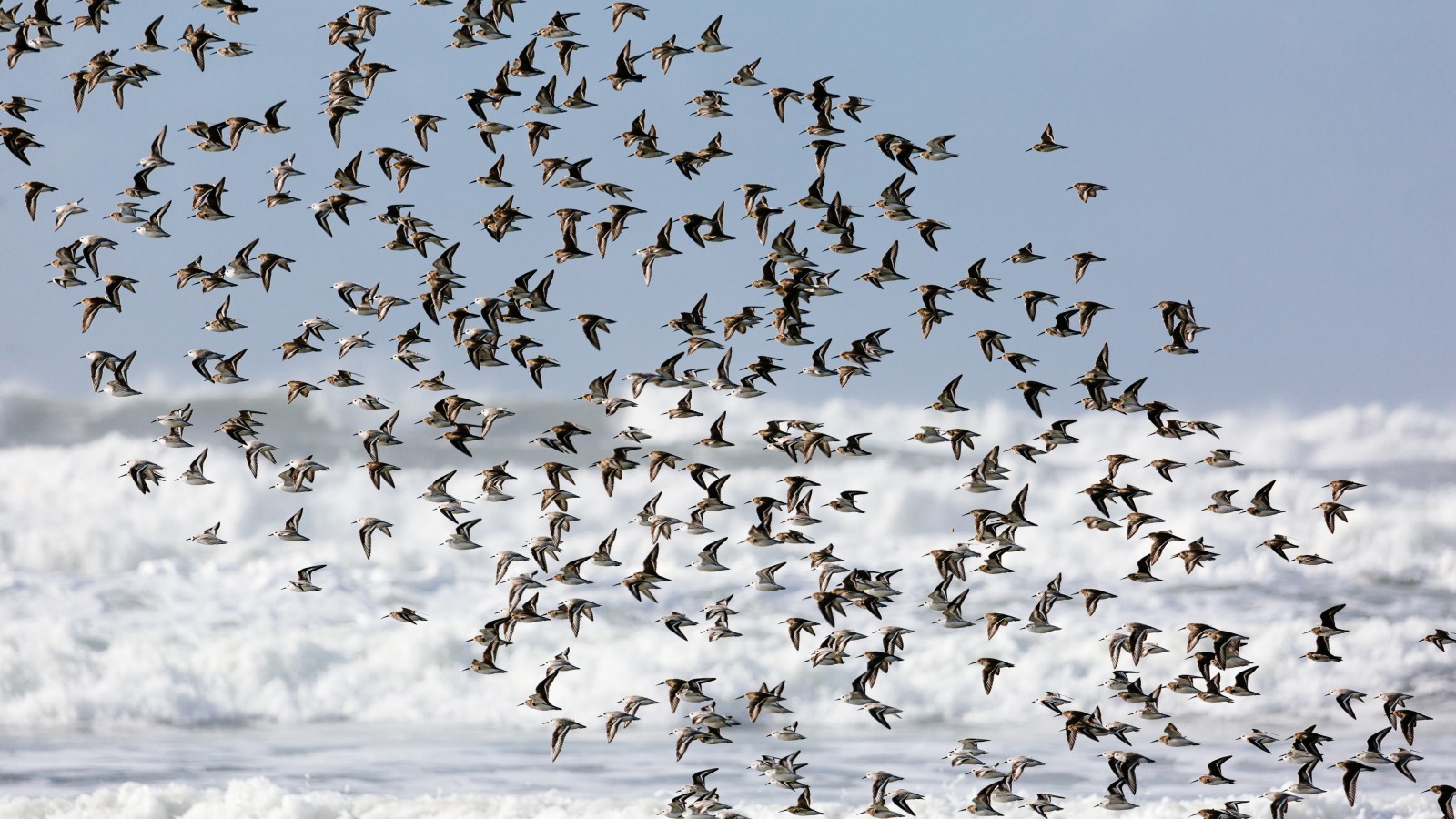 Фото экскурсии