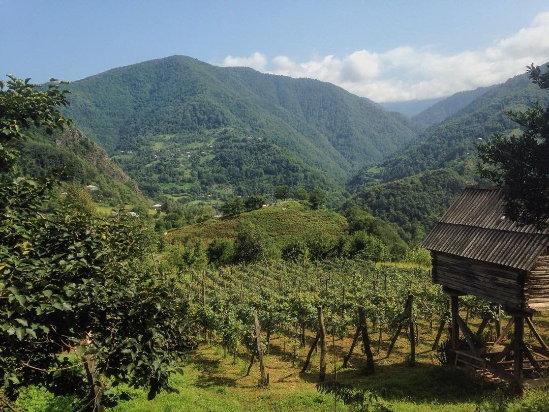 Фото экскурсии