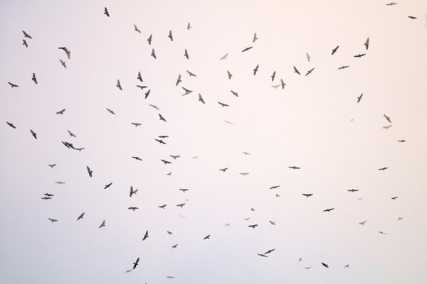 Фото экскурсии