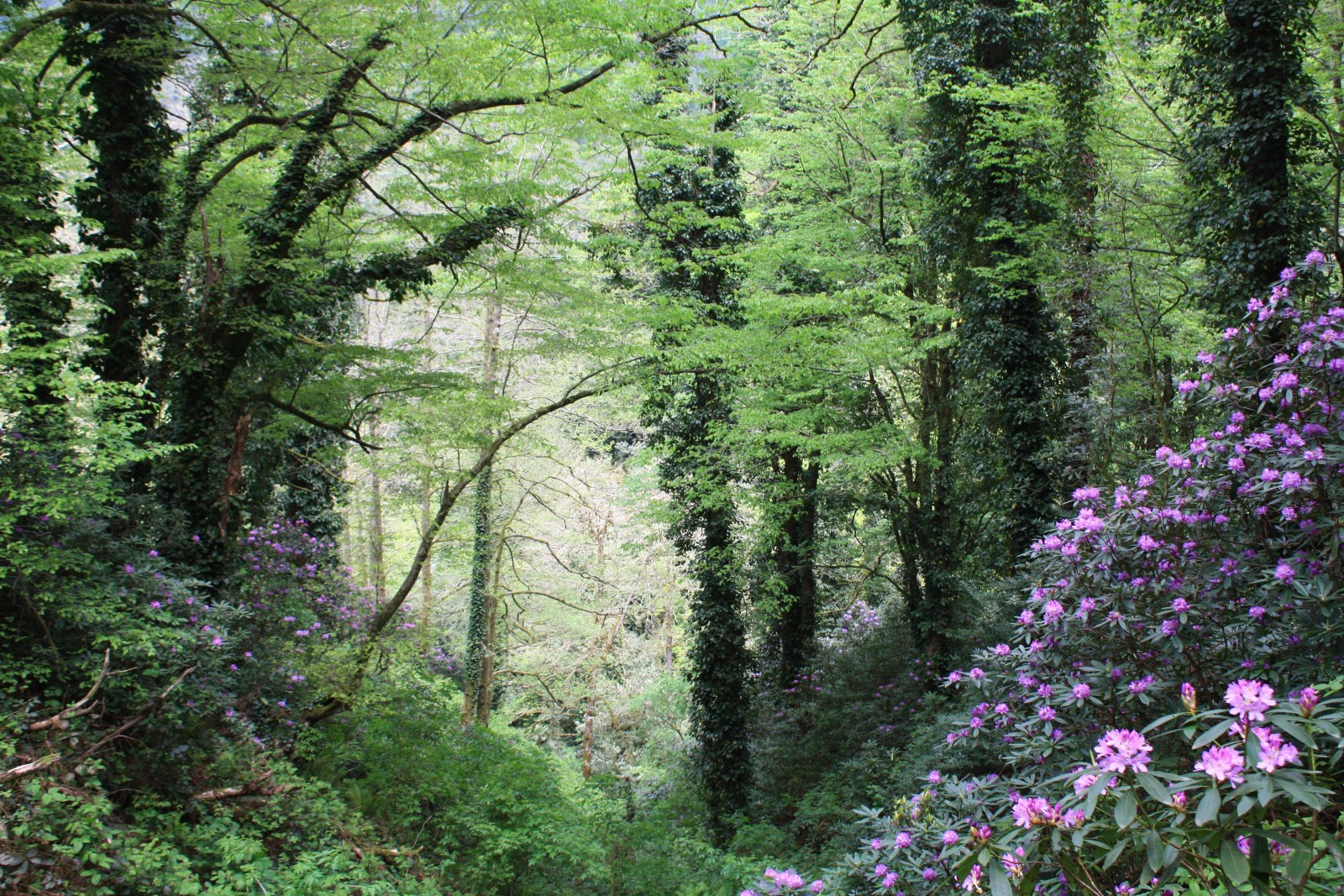 Фото экскурсии