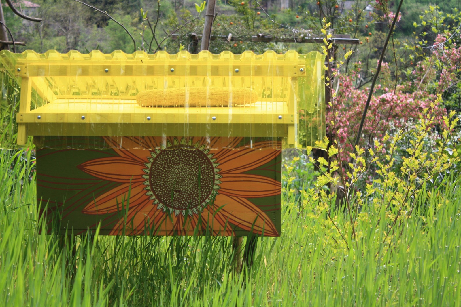 Фото экскурсии