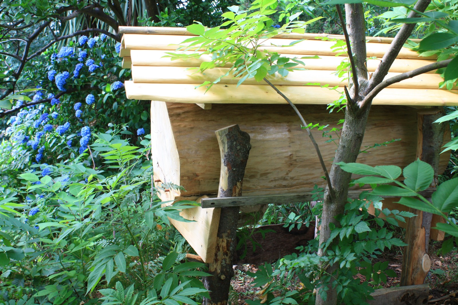 Фото экскурсии