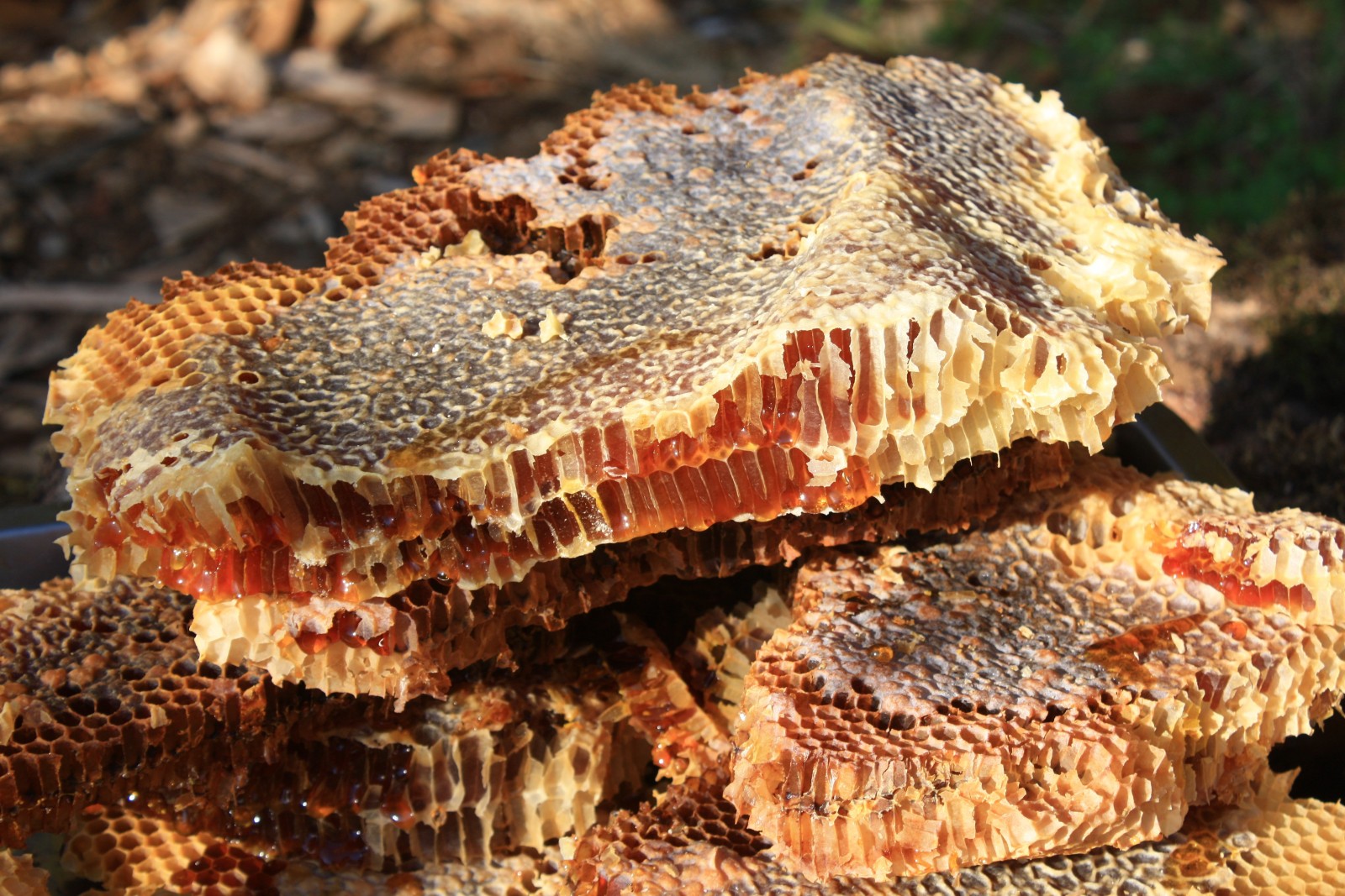 Фото экскурсии