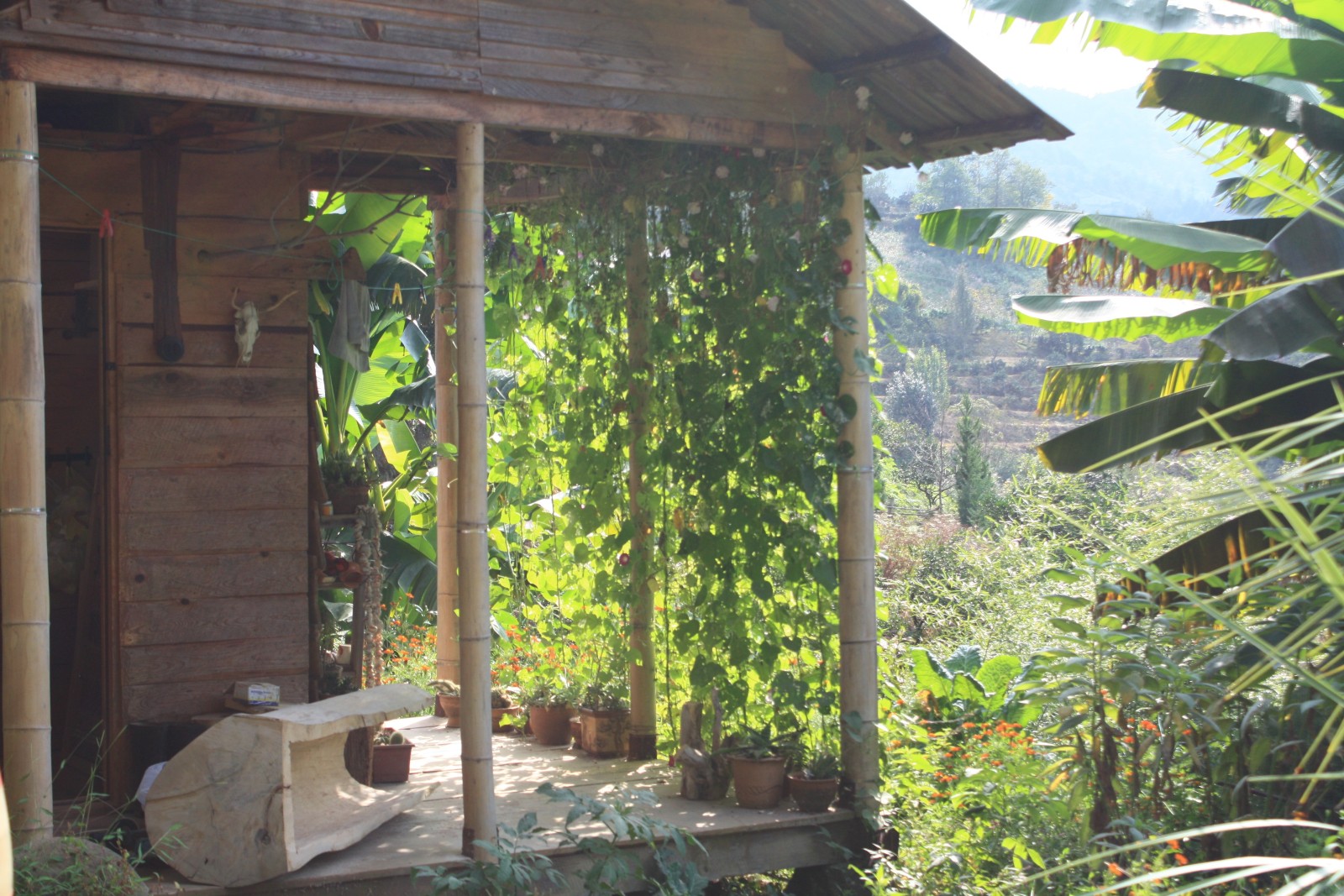 Фото экскурсии