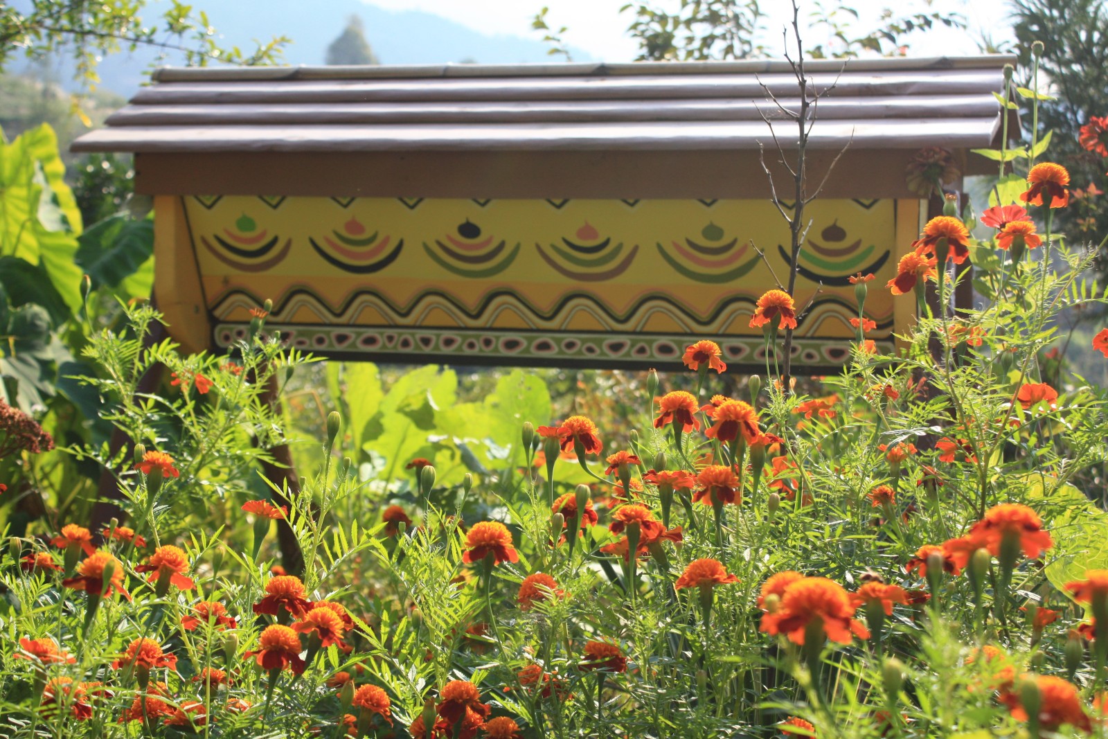 Фото экскурсии