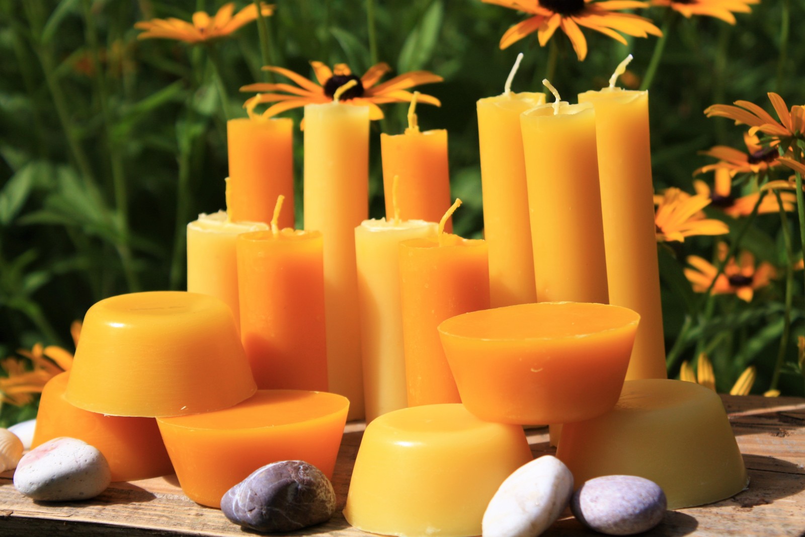 Фото экскурсии