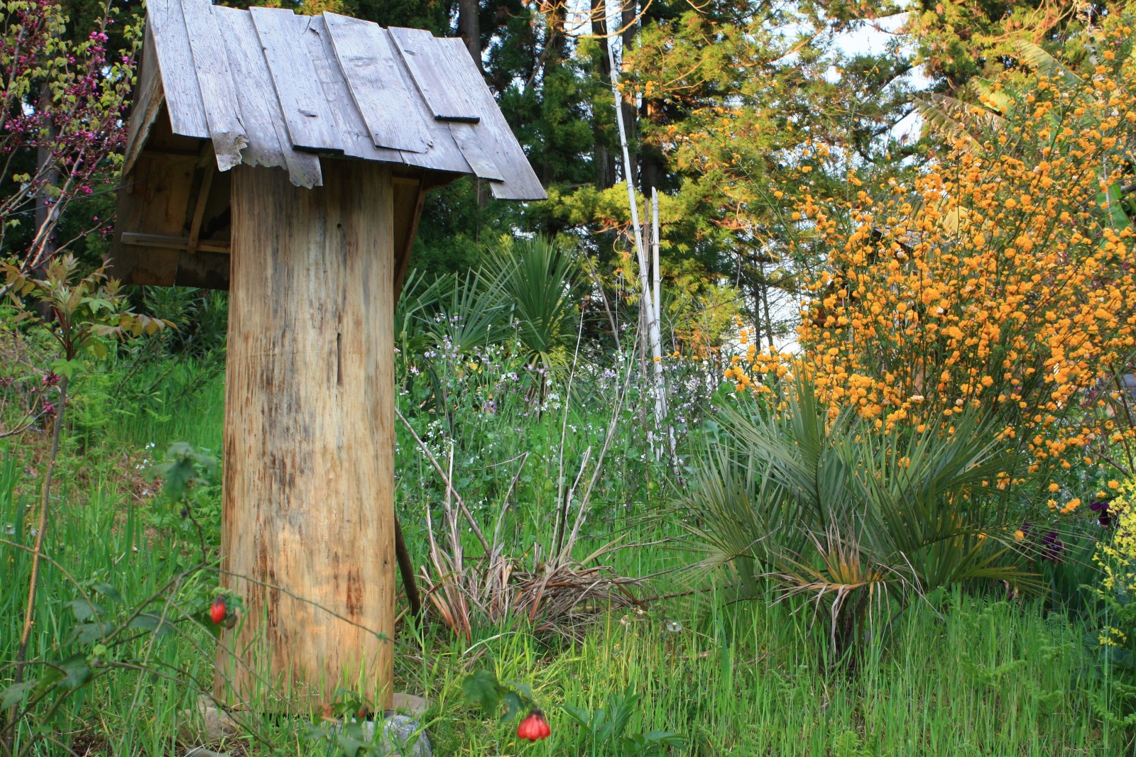 Фото экскурсии