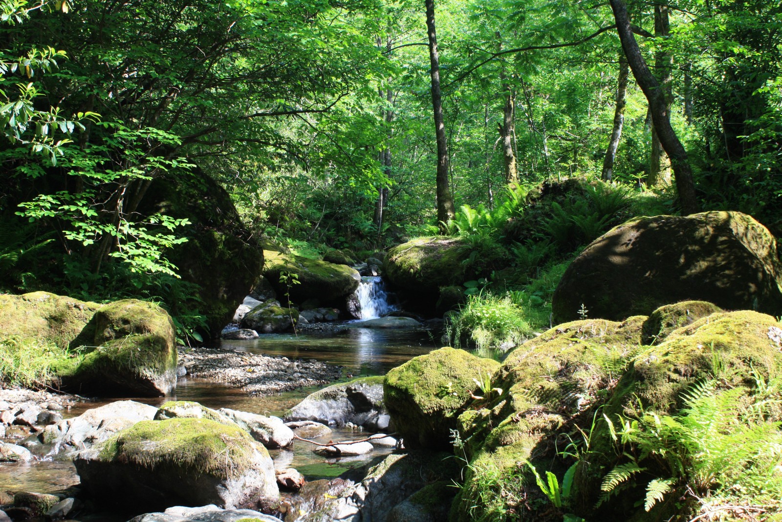 Фото экскурсии