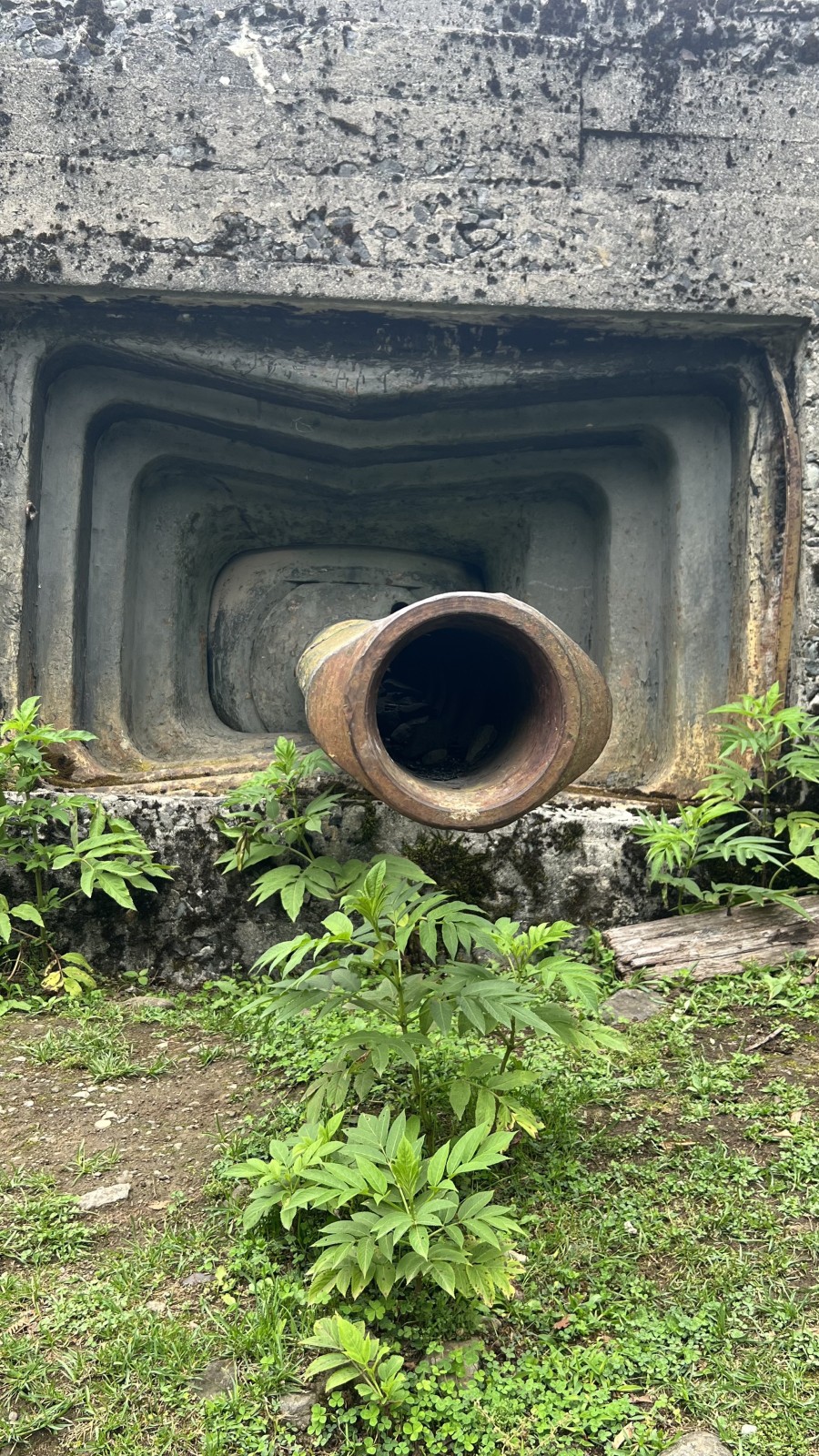 Фото экскурсии