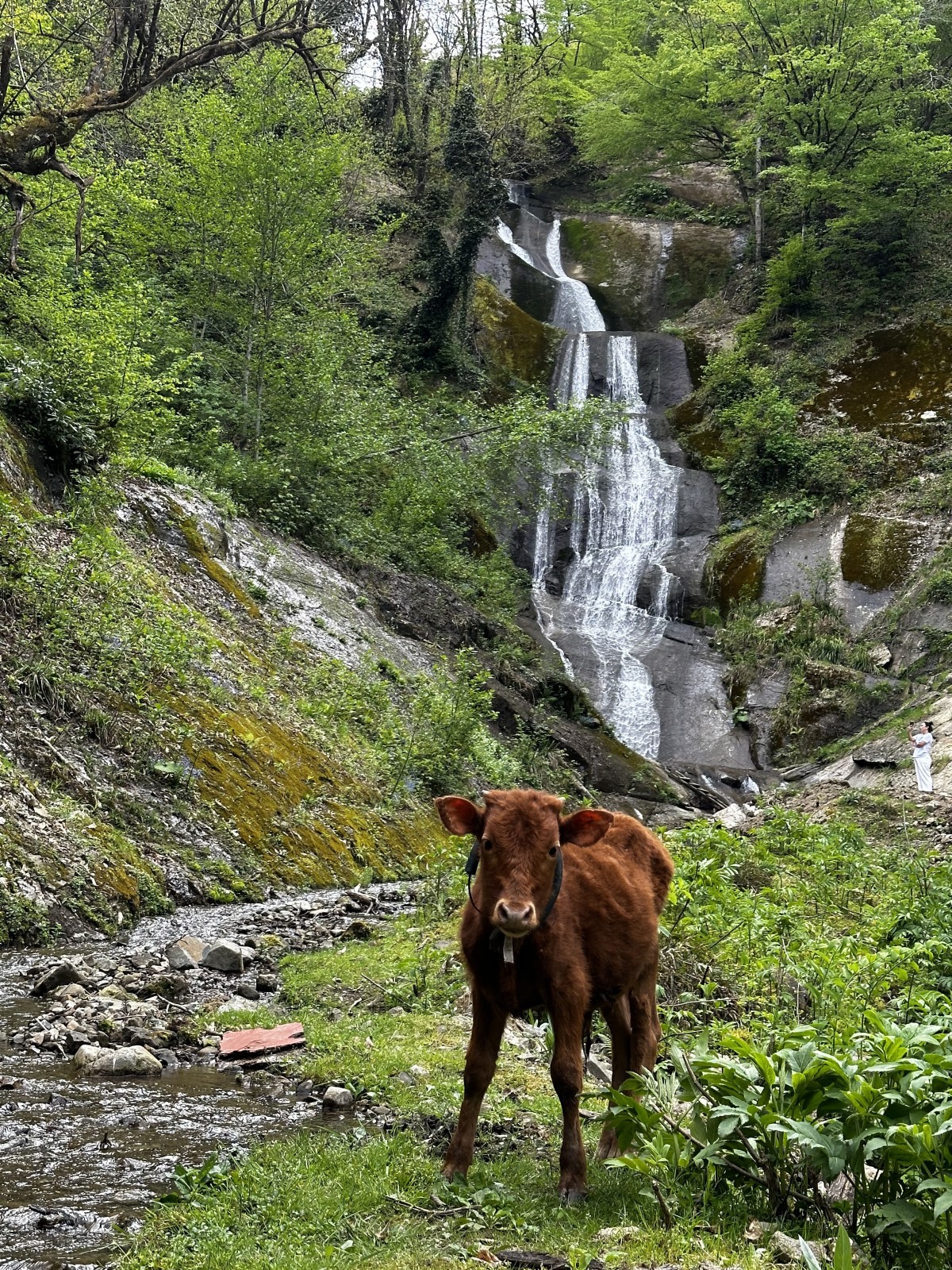Фото экскурсии