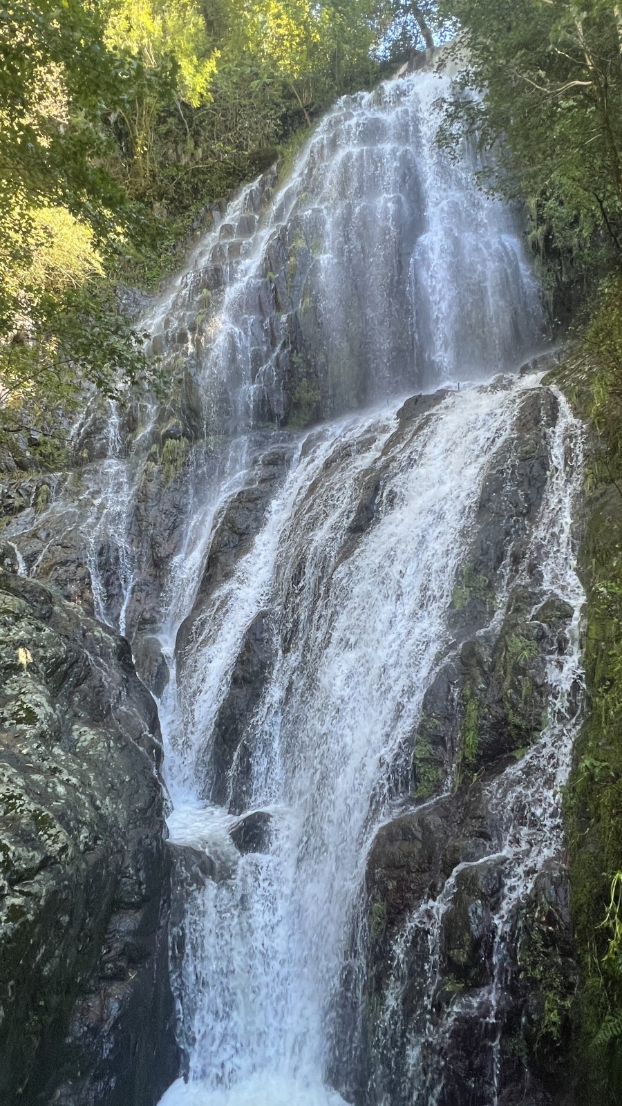 Фото экскурсии