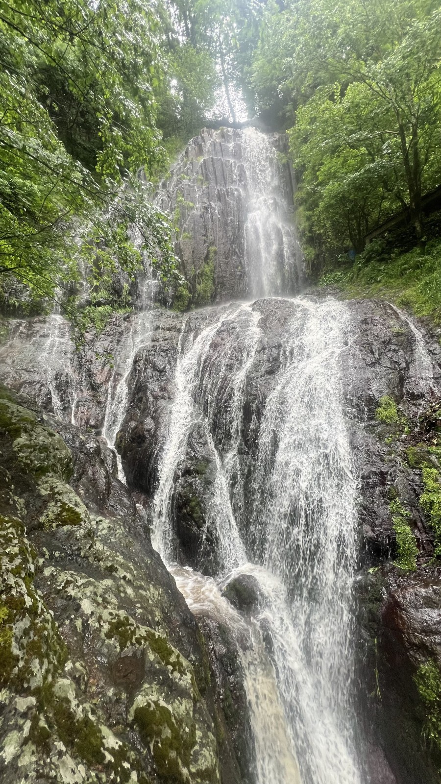 Фото экскурсии