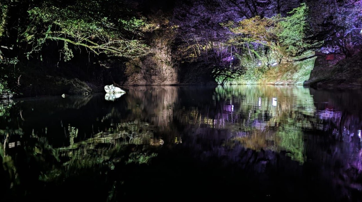 Фото экскурсии