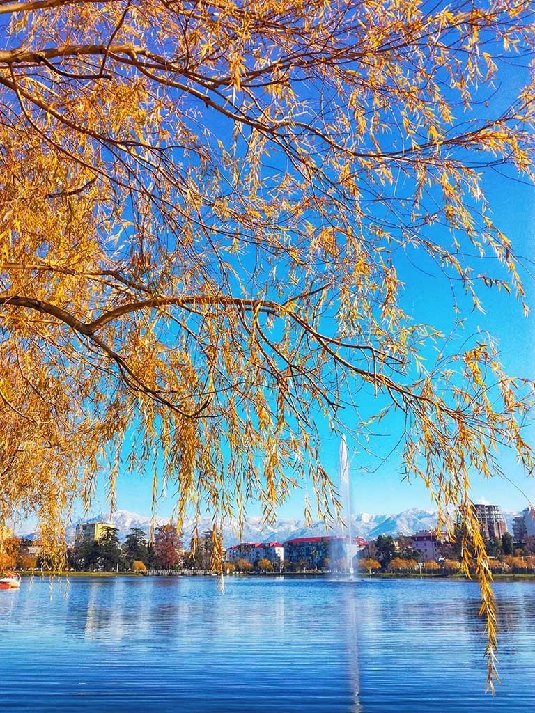 Фото экскурсии