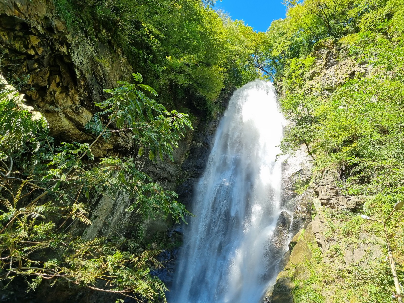 Фото экскурсии