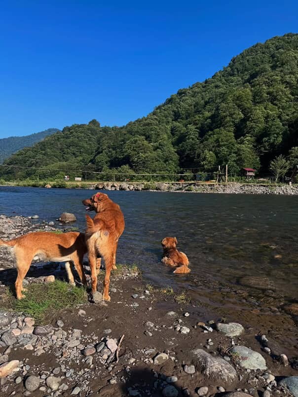 Фото экскурсии