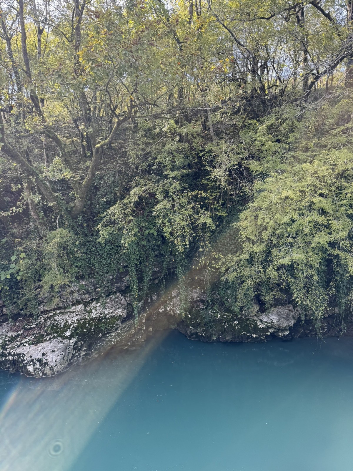 Фото экскурсии