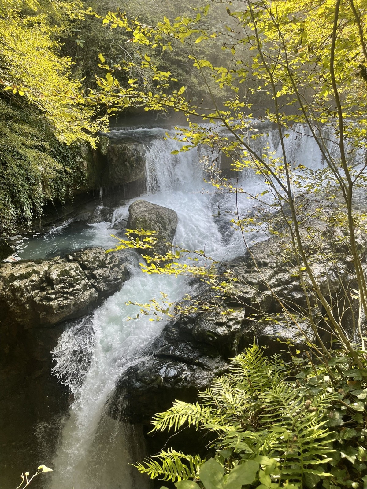 Фото экскурсии