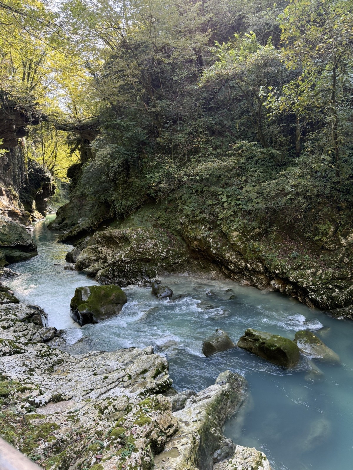 Фото экскурсии