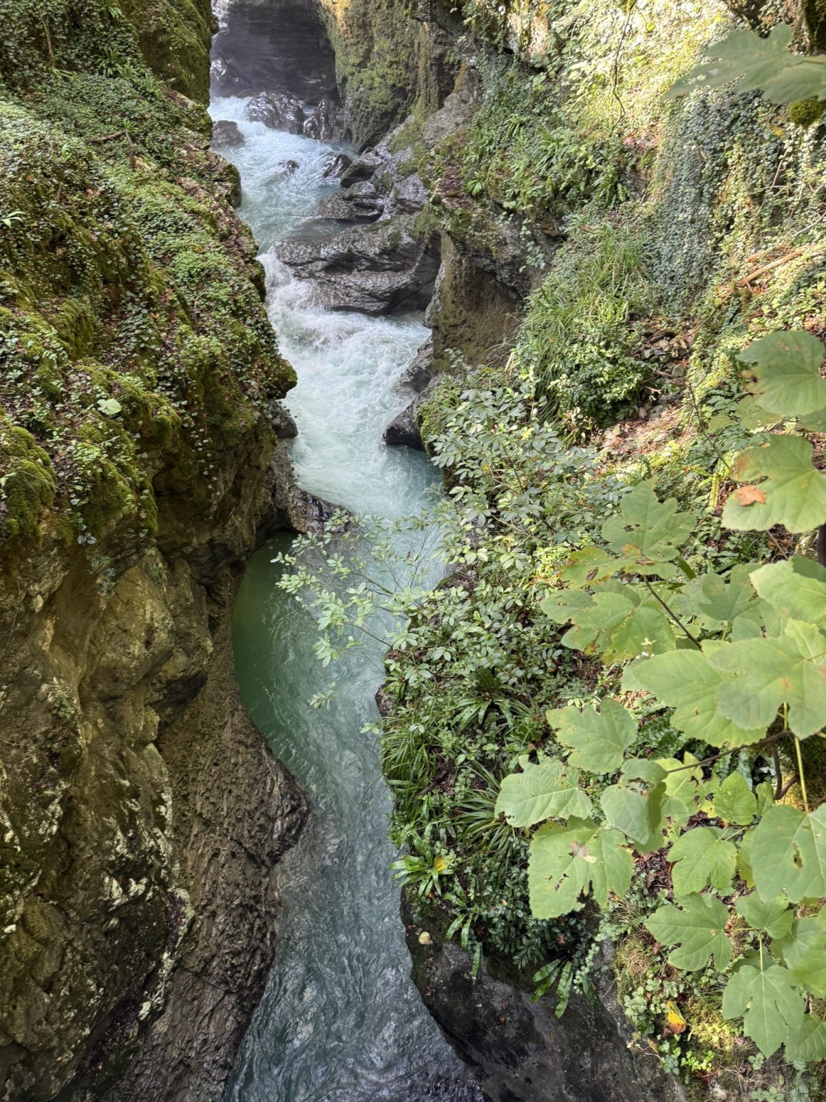 Фото экскурсии