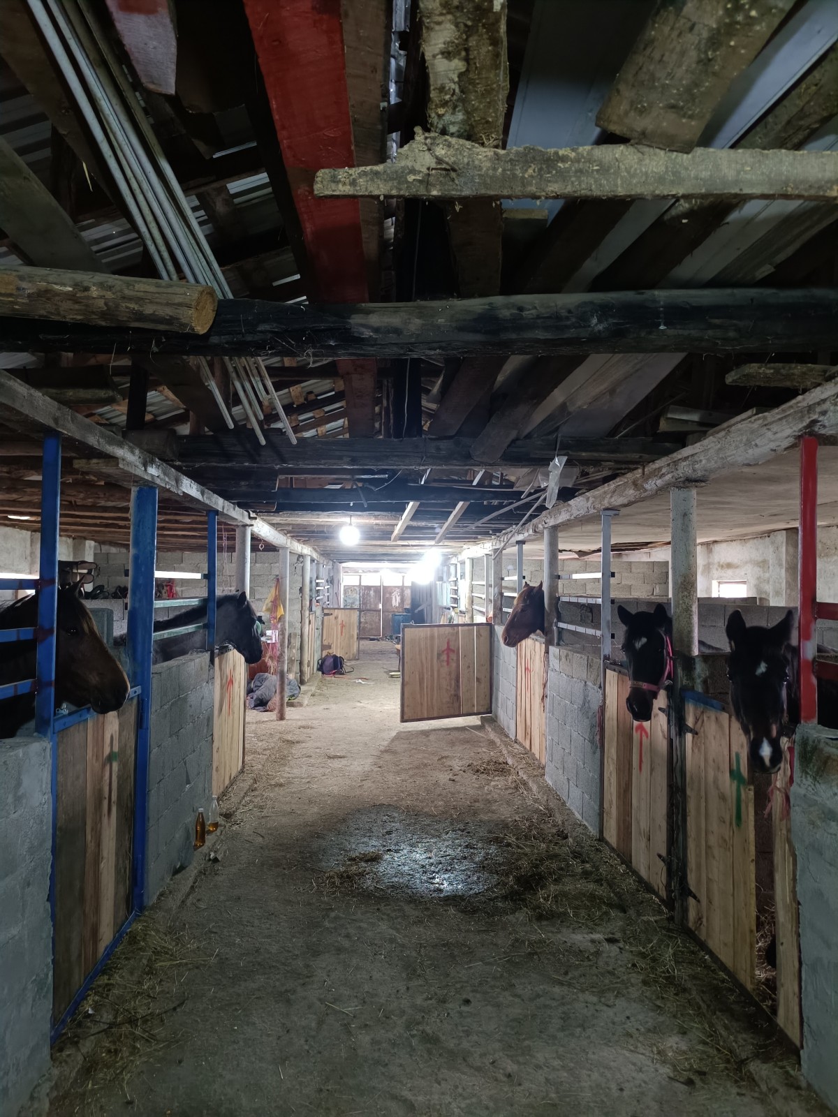 Фото экскурсии