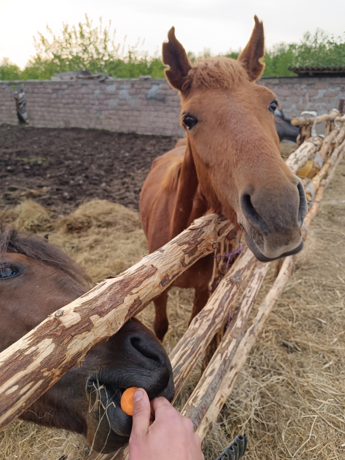 Фото экскурсии