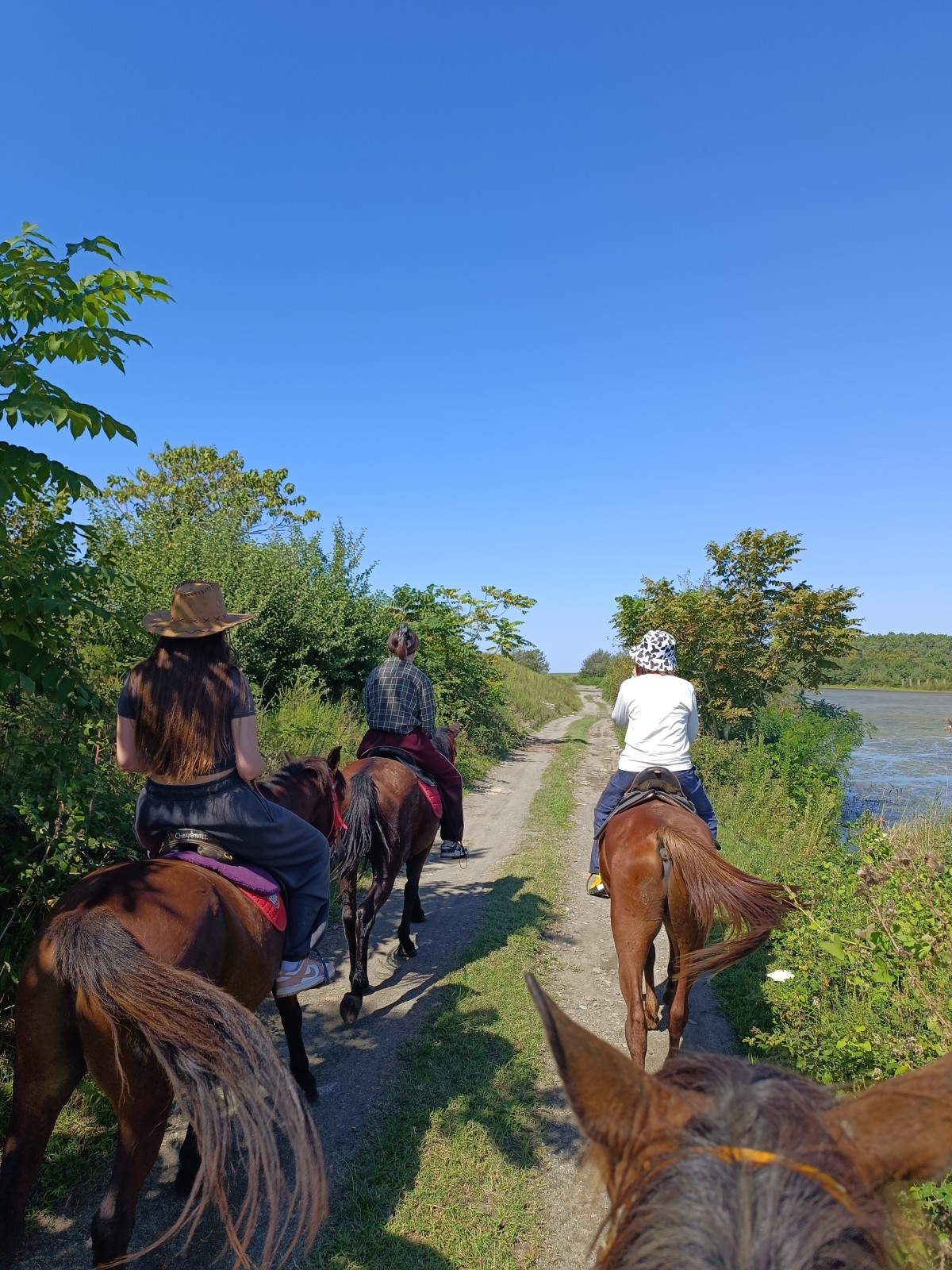 Фото экскурсии