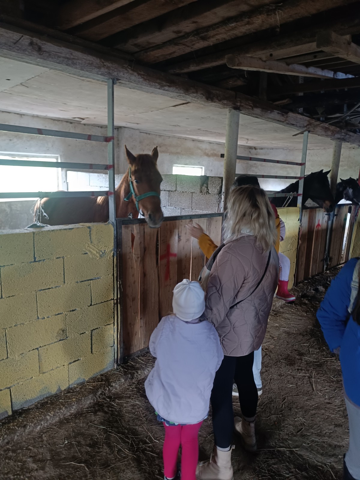 Фото экскурсии