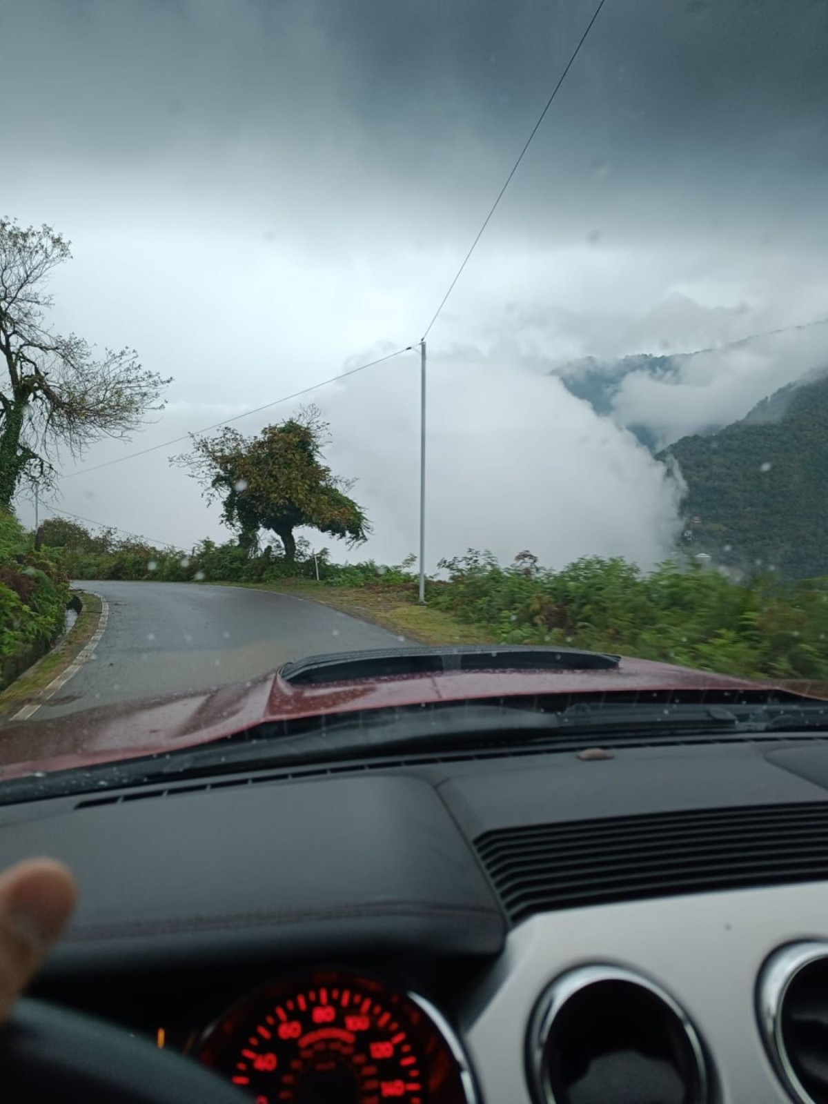 Фото экскурсии