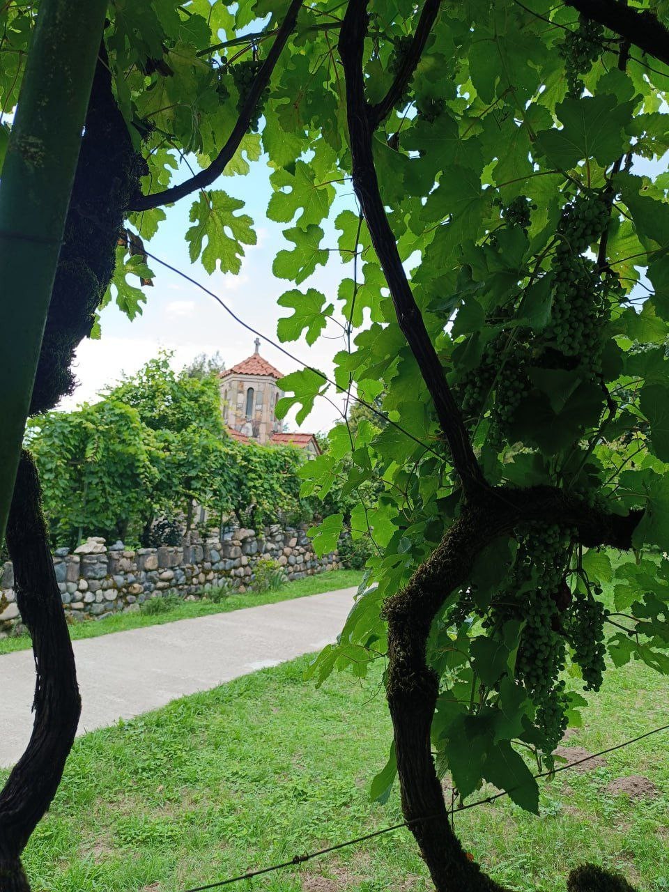 Фото экскурсии