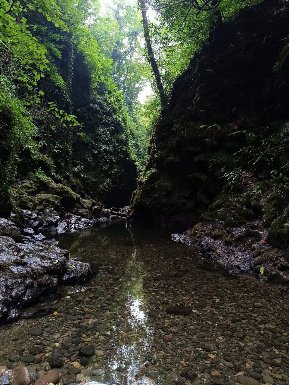 Фото экскурсии