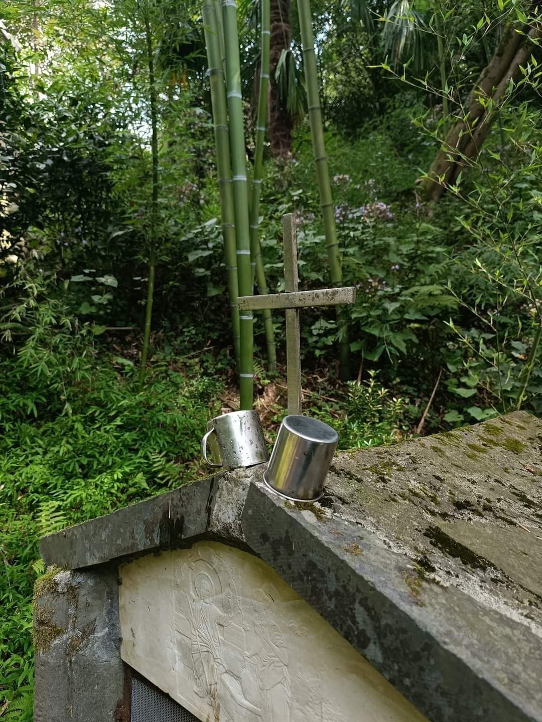 Фото экскурсии