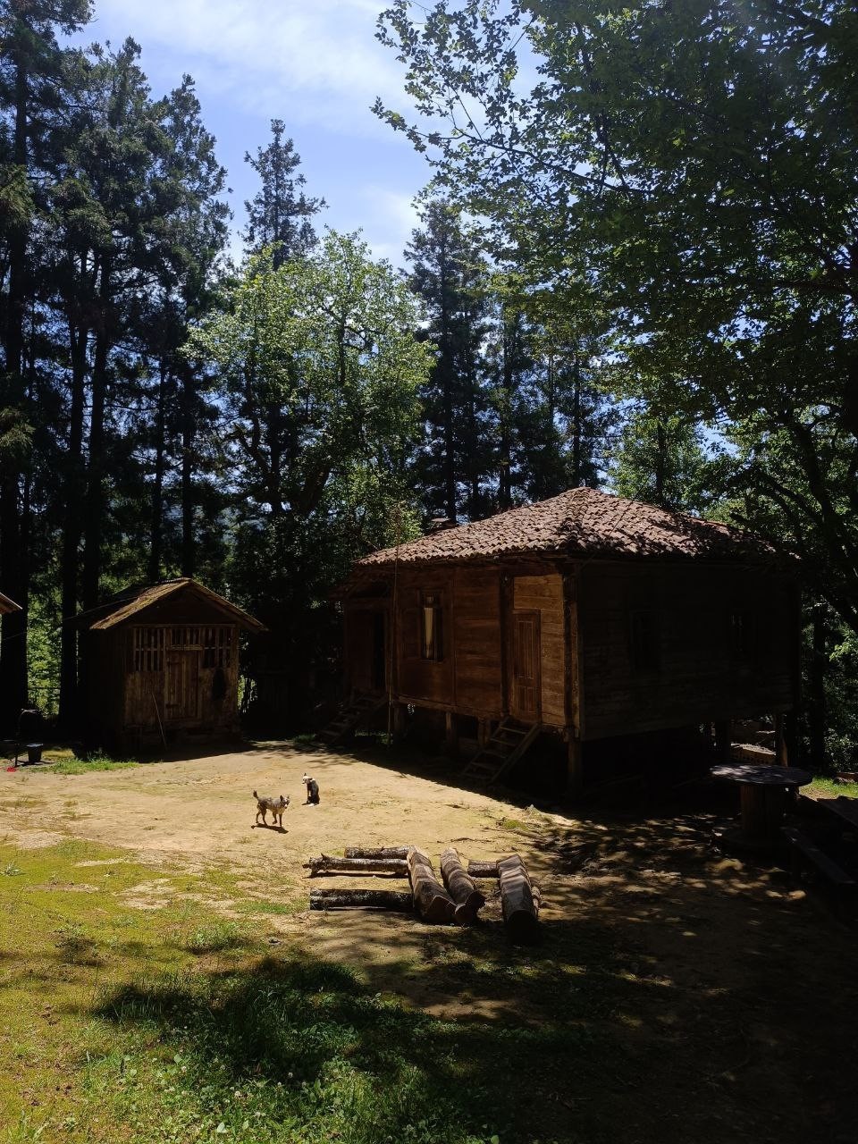 Фото экскурсии