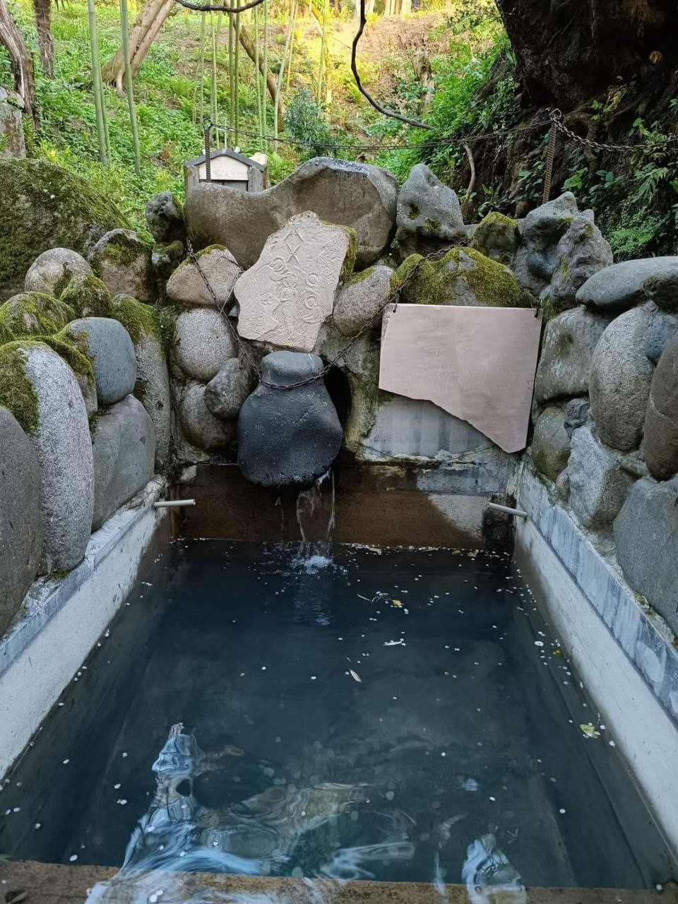 Фото экскурсии